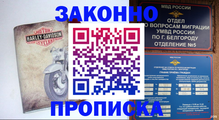 прописка для школы в Протвино
